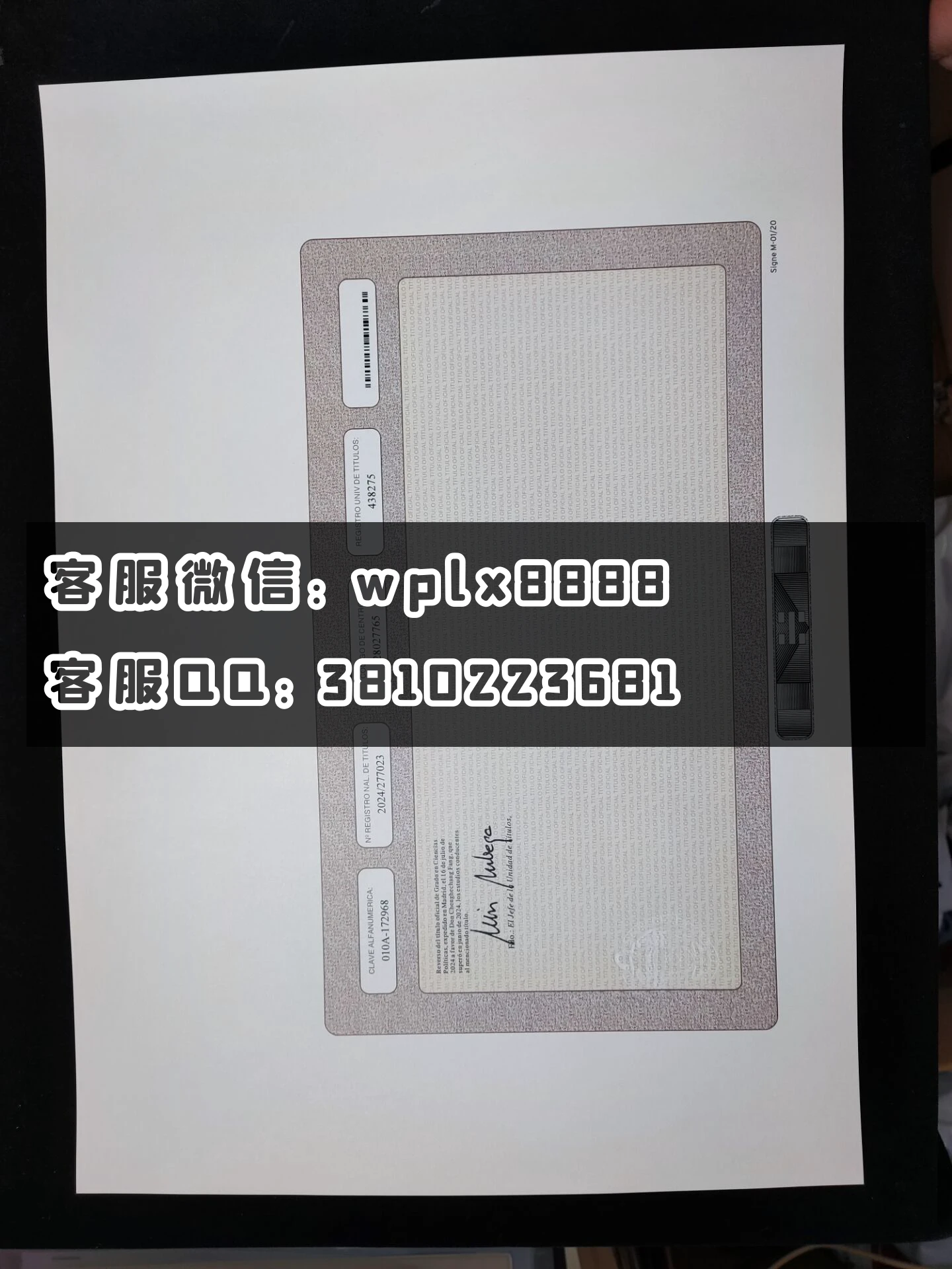 西班牙康普斯顿大学毕业证背面 成品