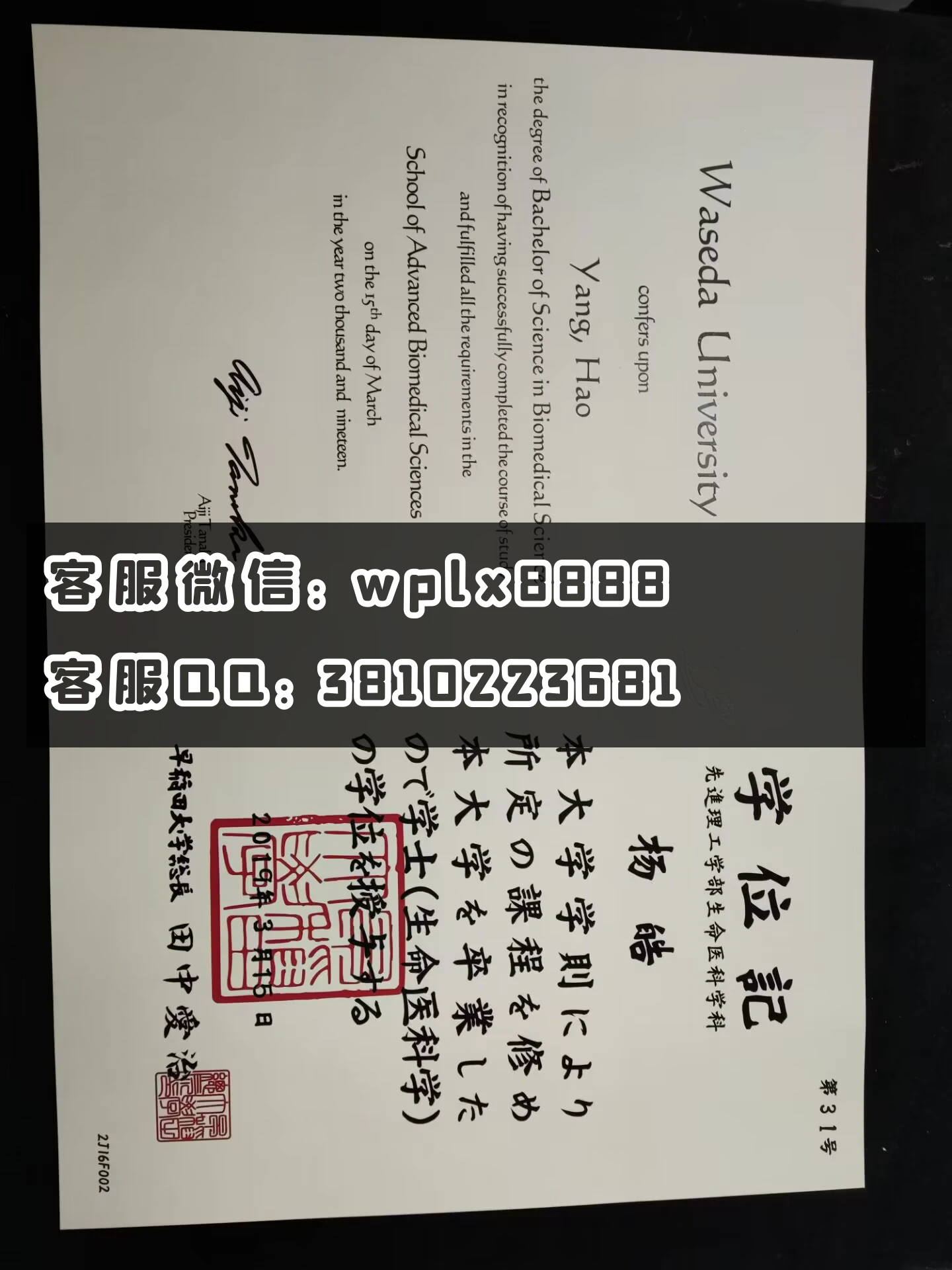 日本早稻田大学毕业证书 成品 Yang Hao-C