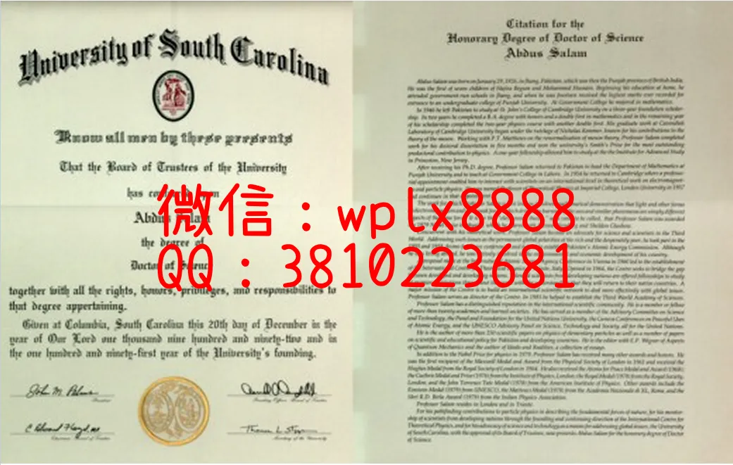 南卡罗来纳大学哥伦比亚分校毕业证
