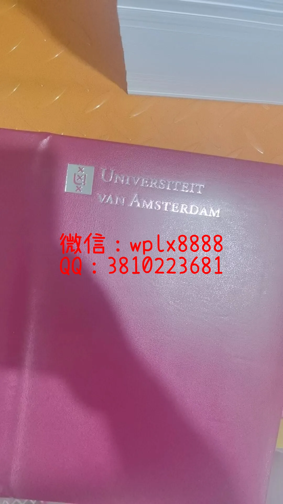 荷兰阿姆斯特丹大学壳子成品