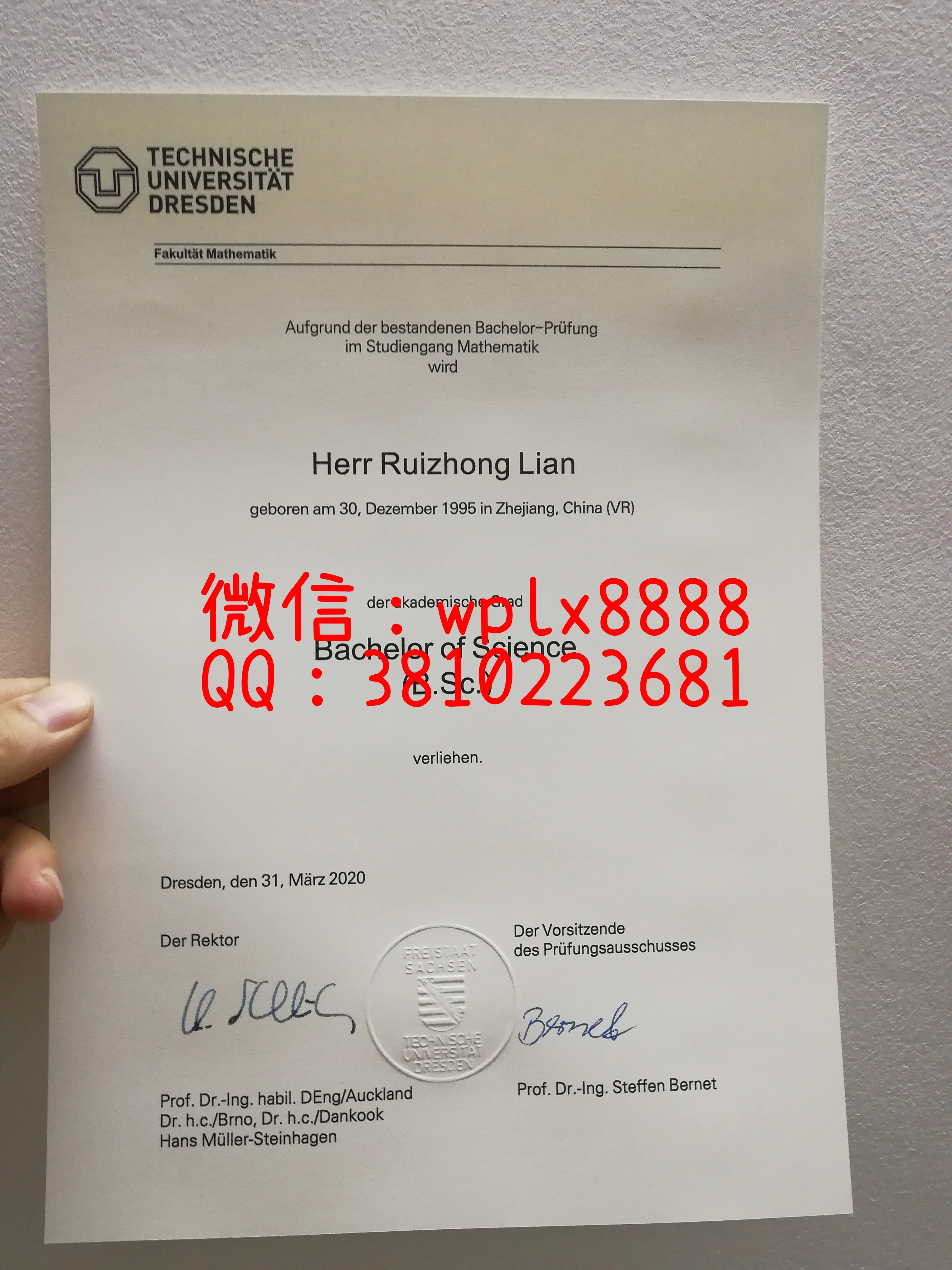 德累斯顿工业大学毕业证