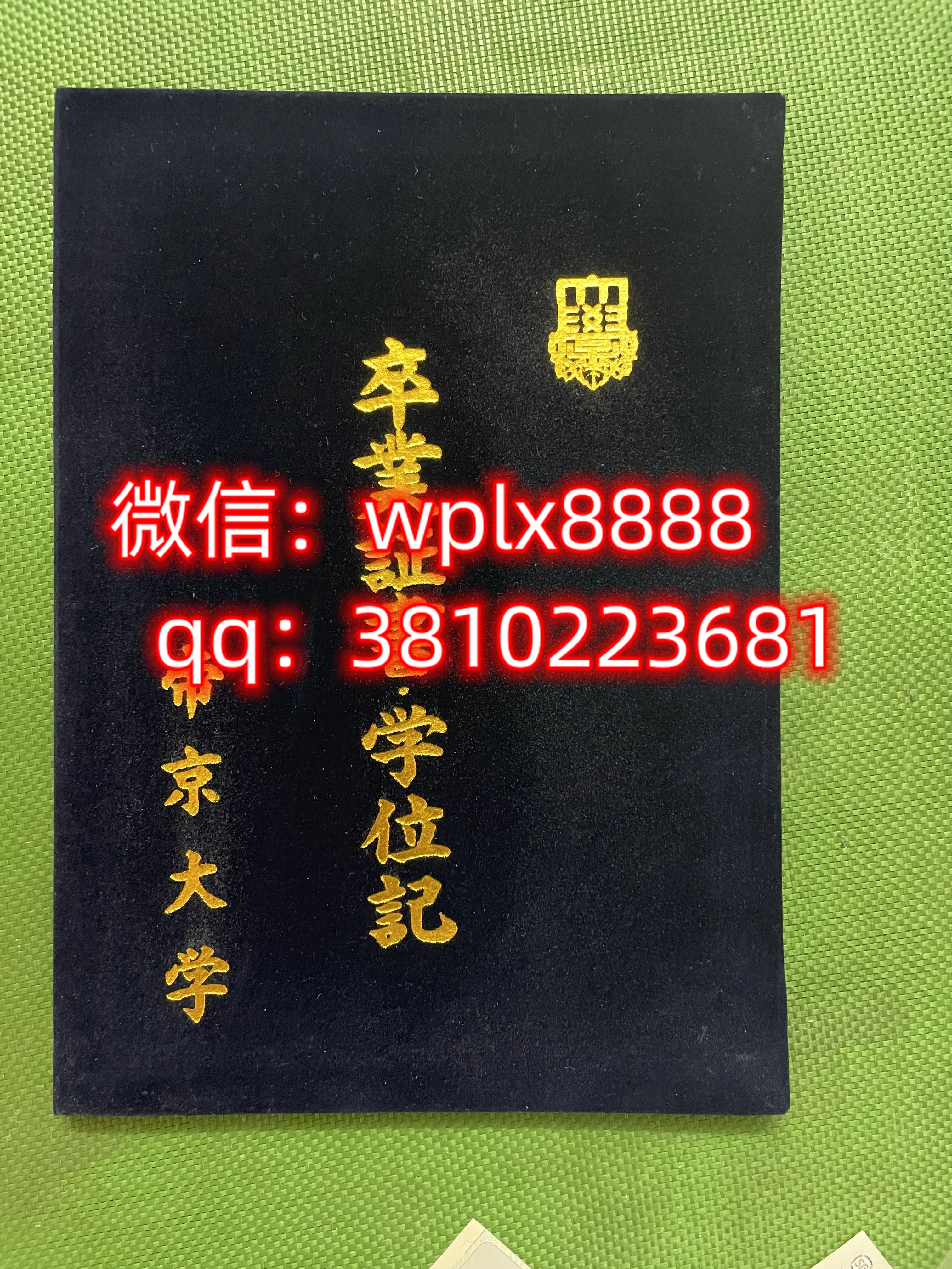帝京大学