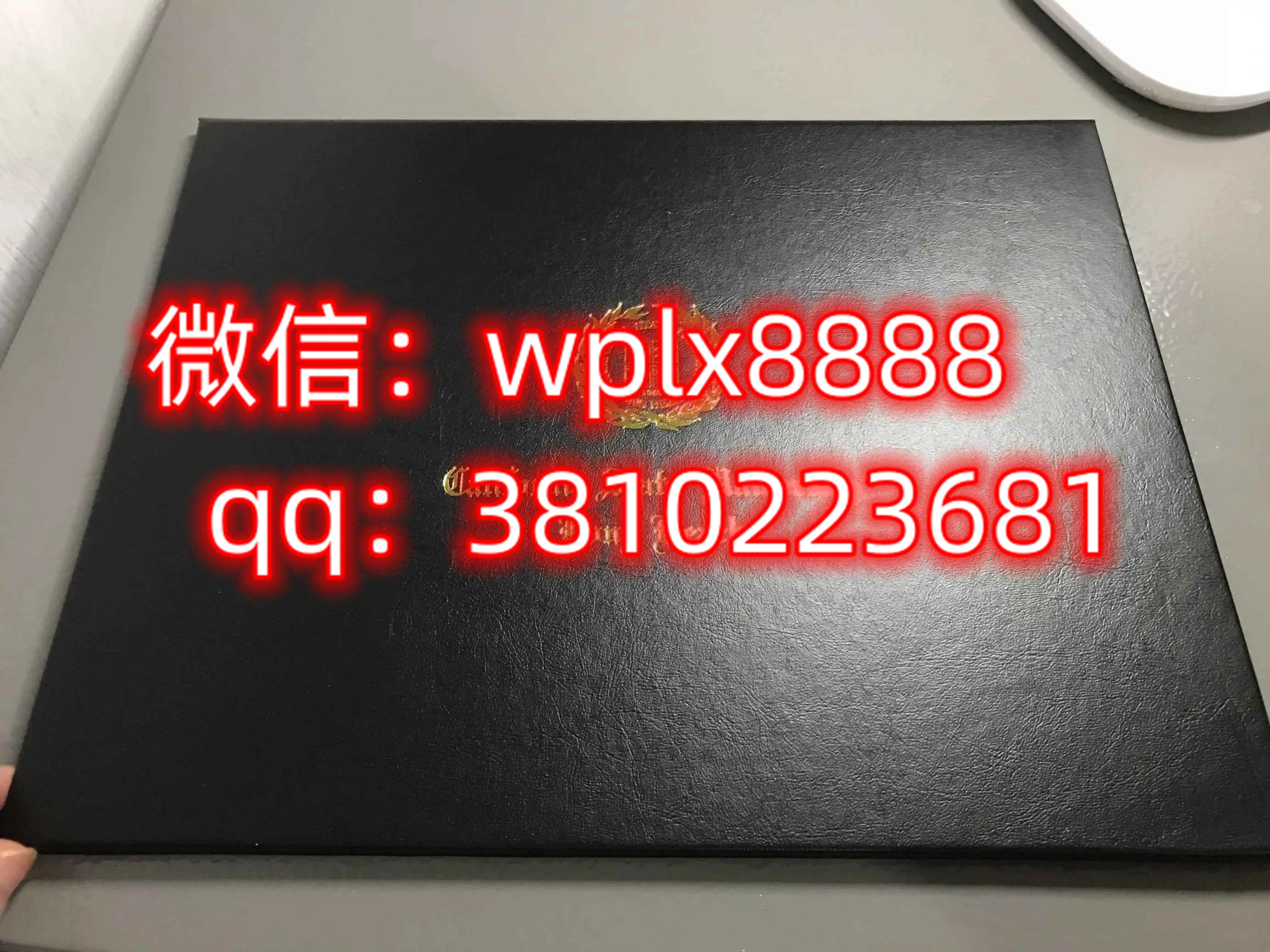 加州州立大学长滩分校