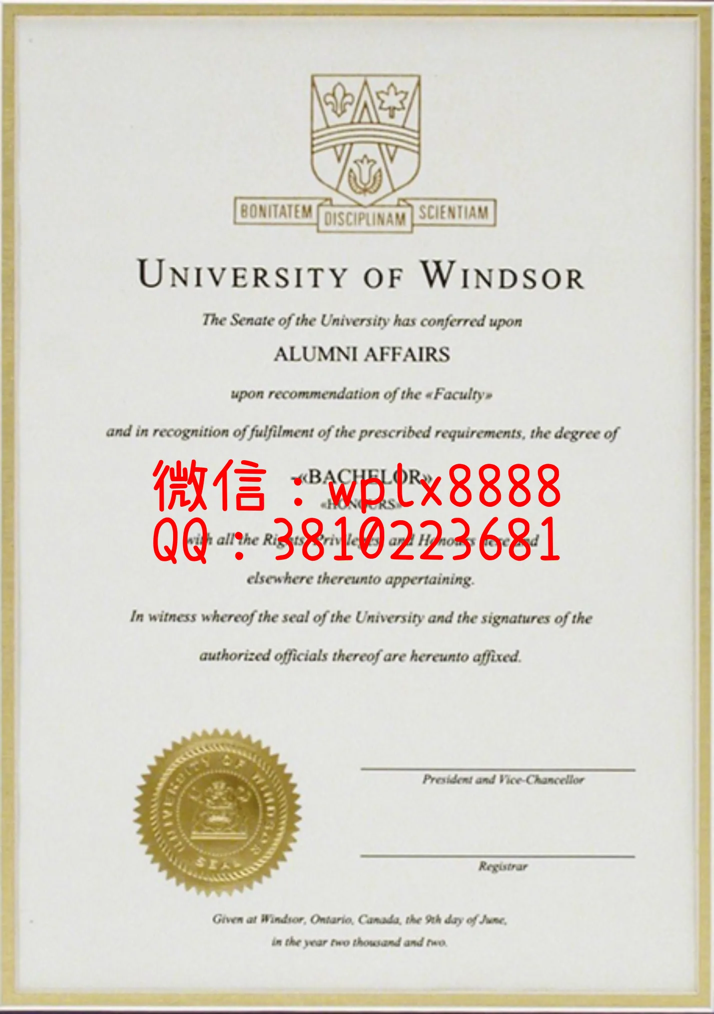 加拿大温莎大学毕业证1