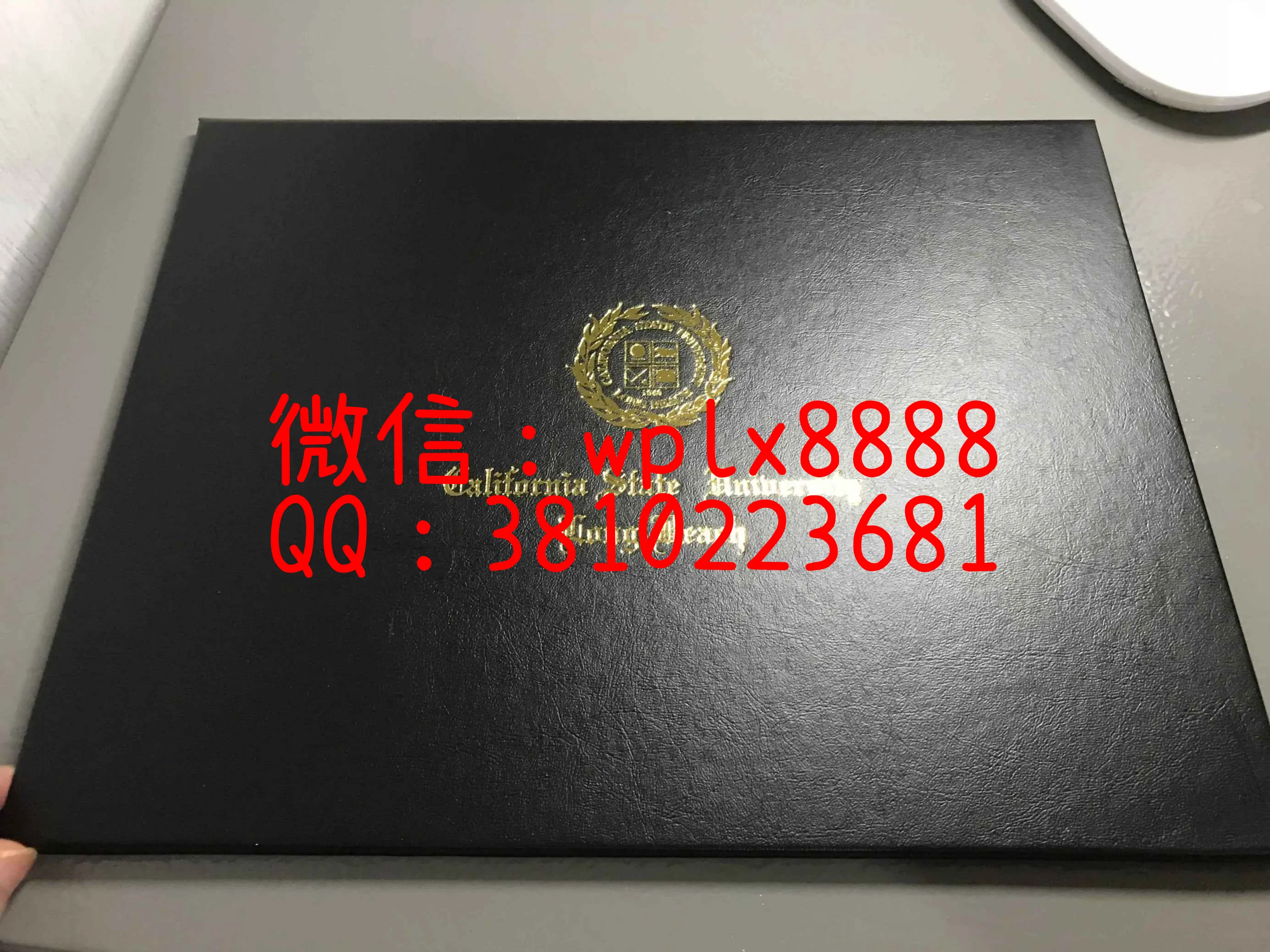 加州州立大学长滩分校毕业证外壳
