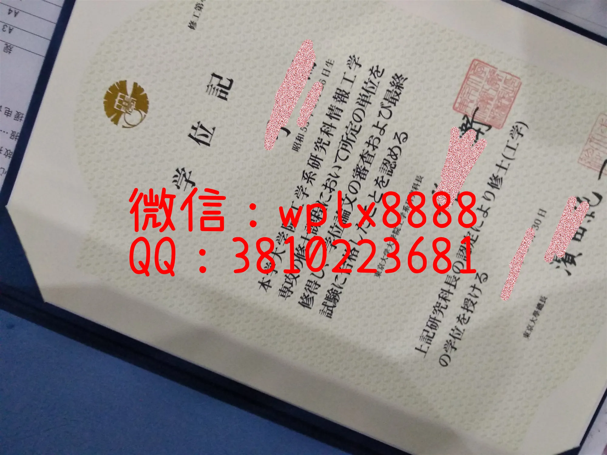 东京大学学位记实拍样本