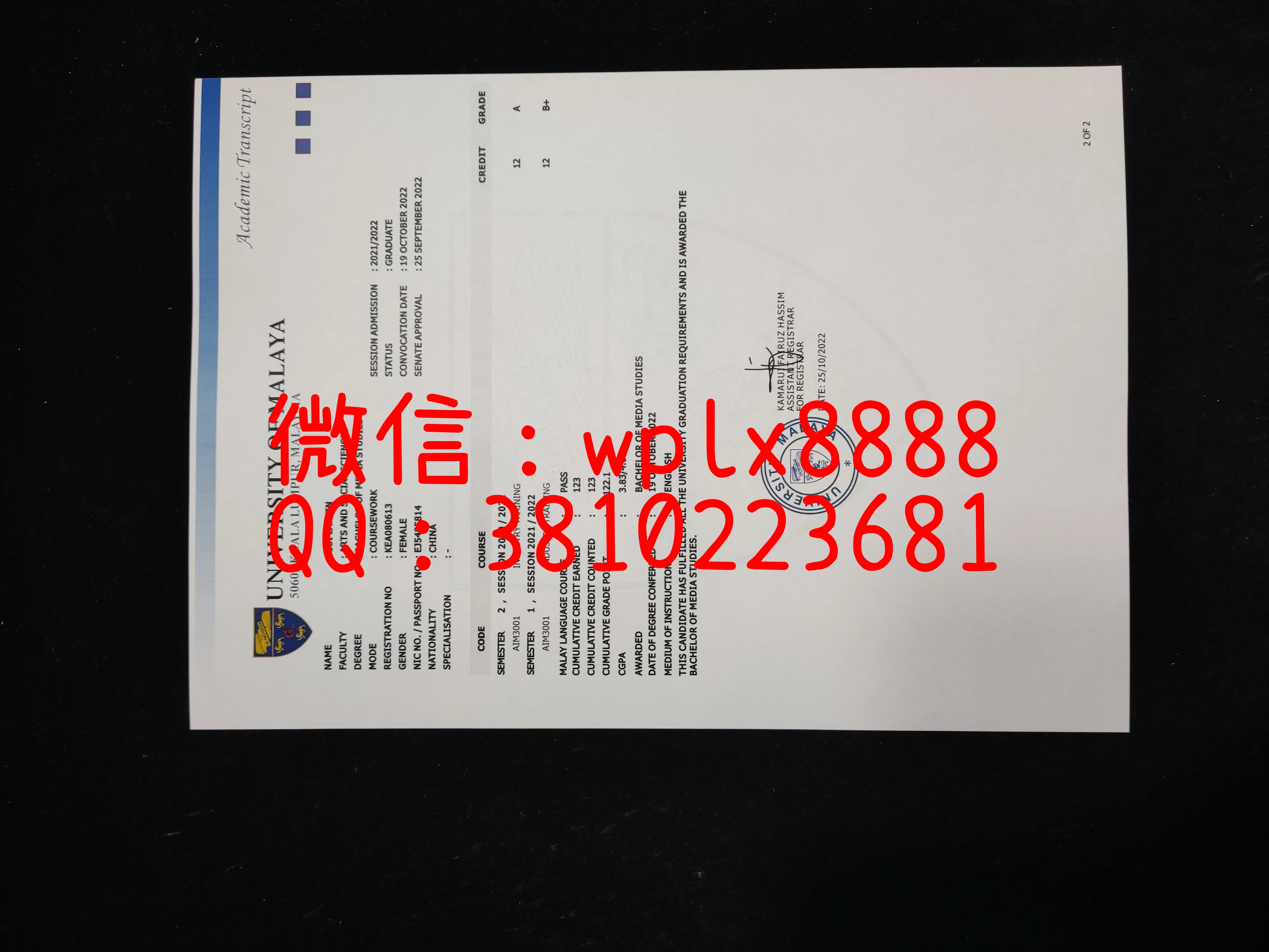 马来亚大学成绩单-成品21010