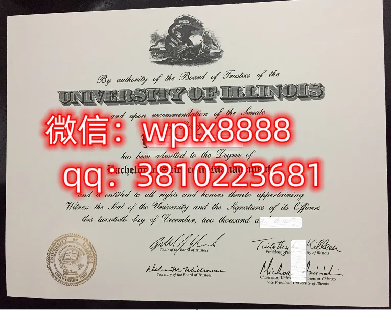 伊利诺伊大学芝加哥分校