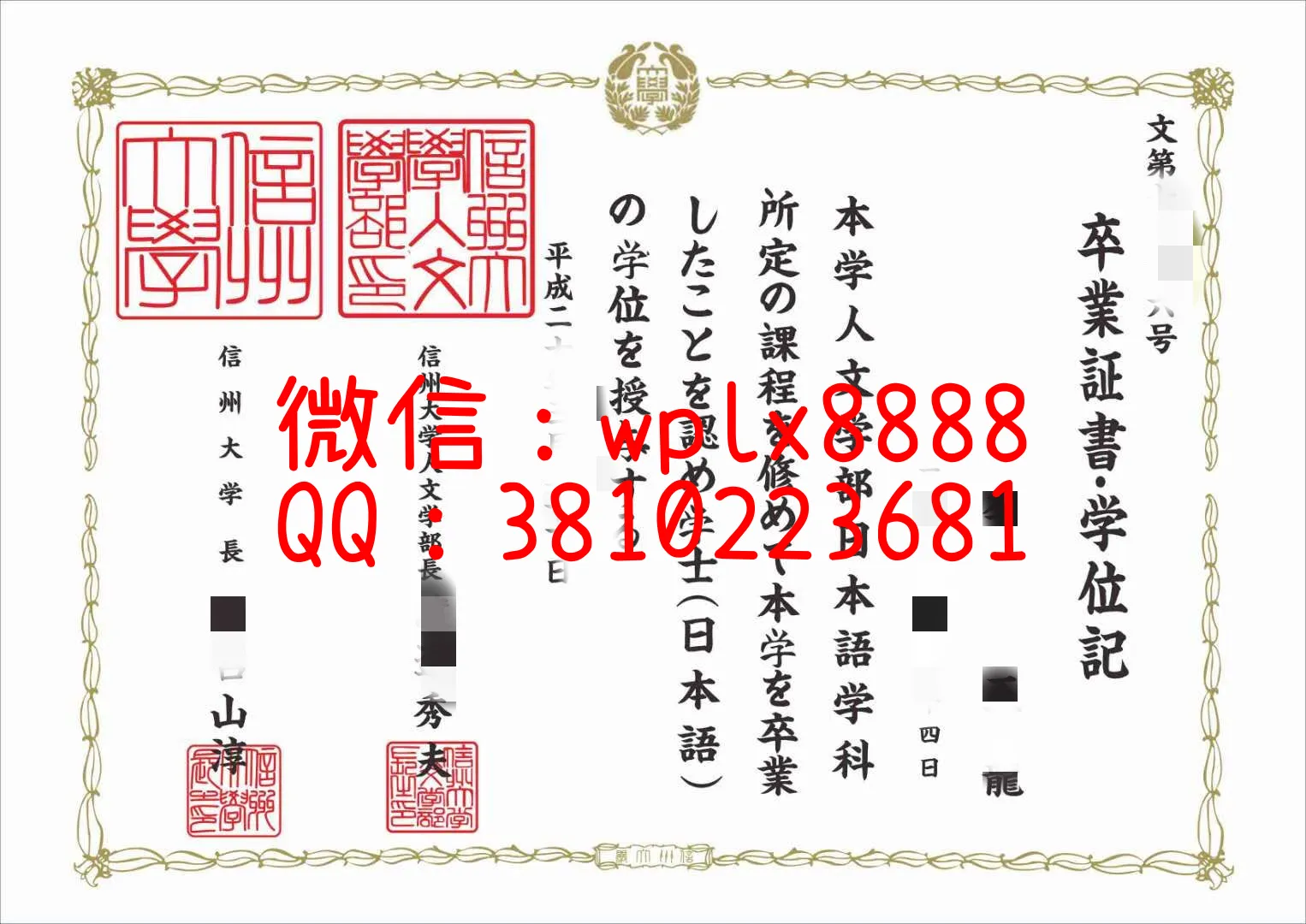 日本信州大学-(1)