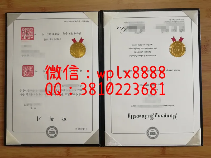 汉阳大学毕业证实拍