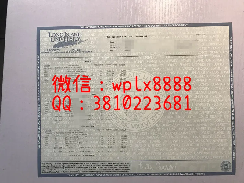 美国长岛大学成绩单2