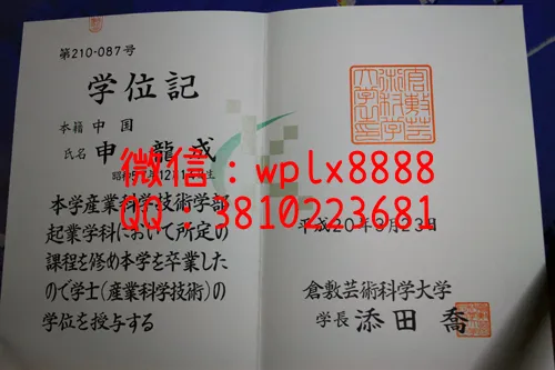 日本仓敷艺术科学大学