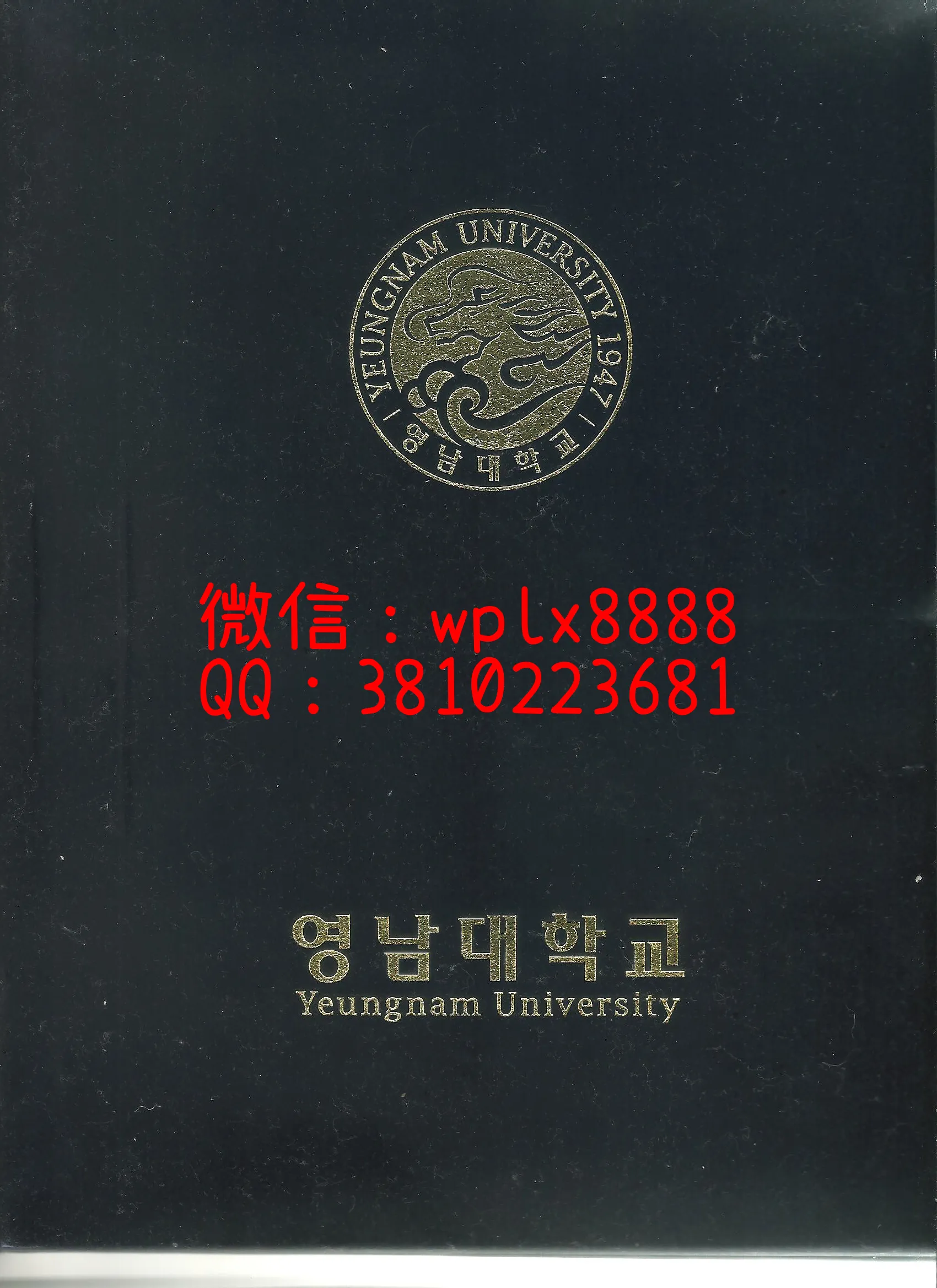 韩国岭南大学外壳