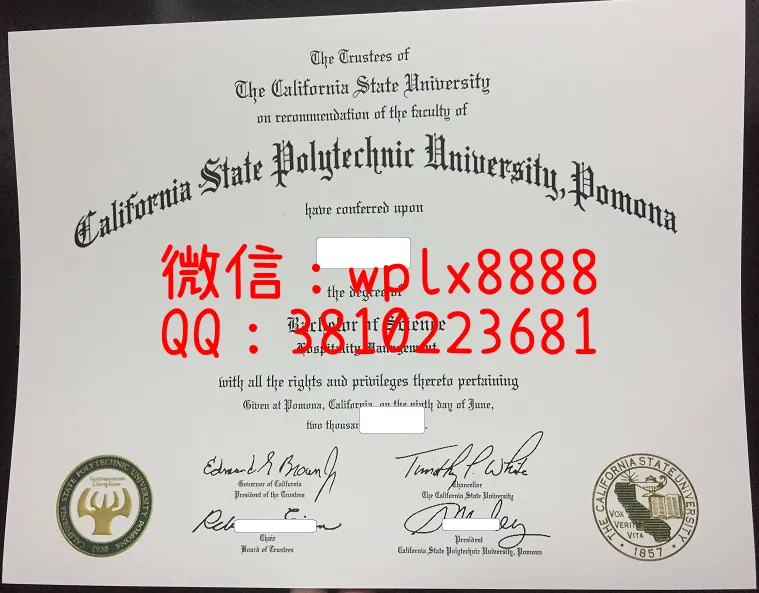 波莫纳加州理工大学毕业证-(1)