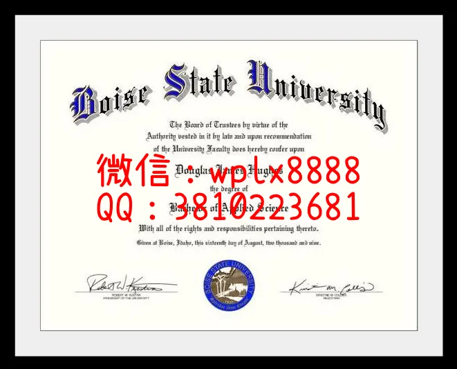 博伊西州立大学(Boise-State-University-