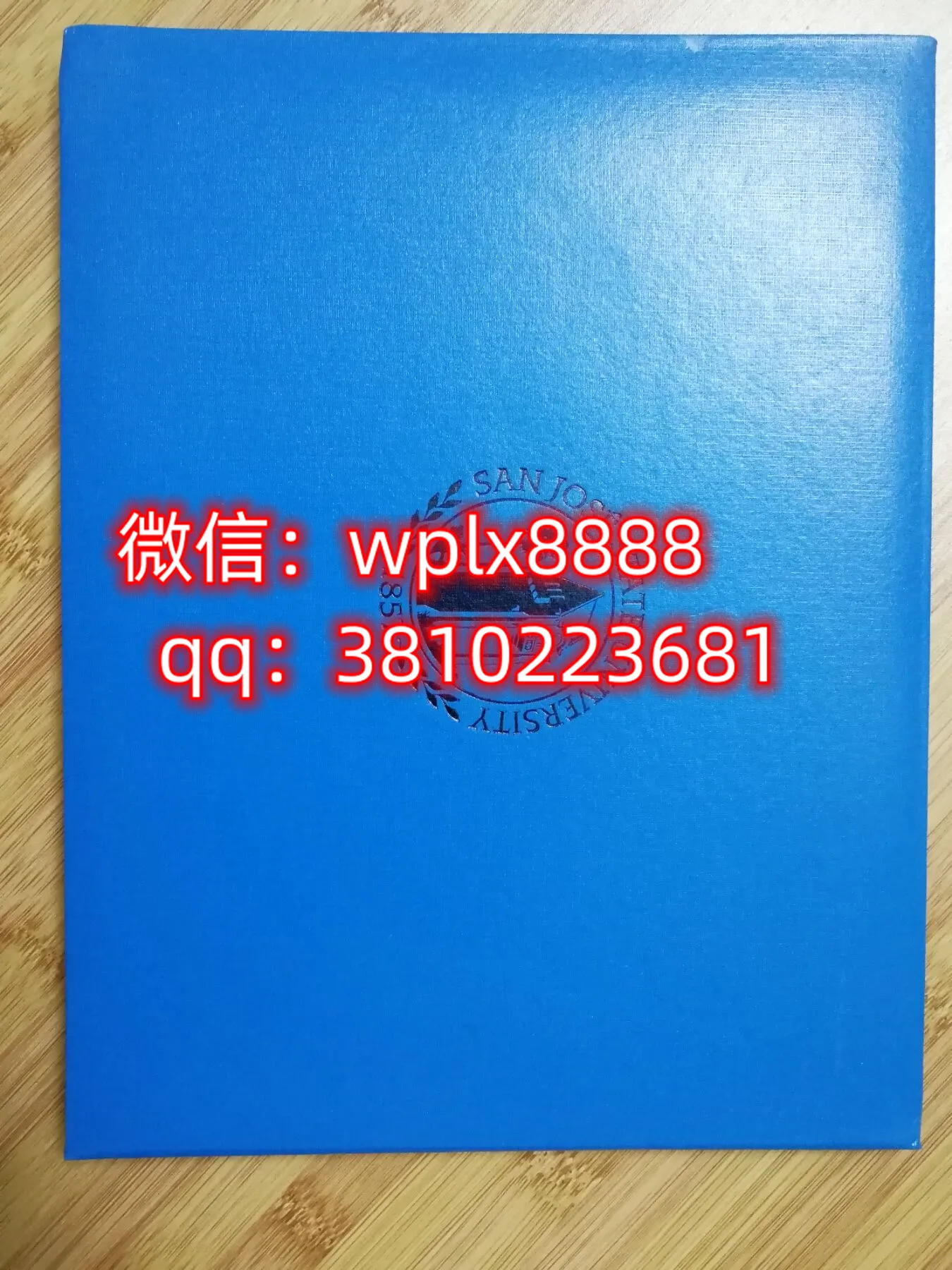 圣何塞州立大学