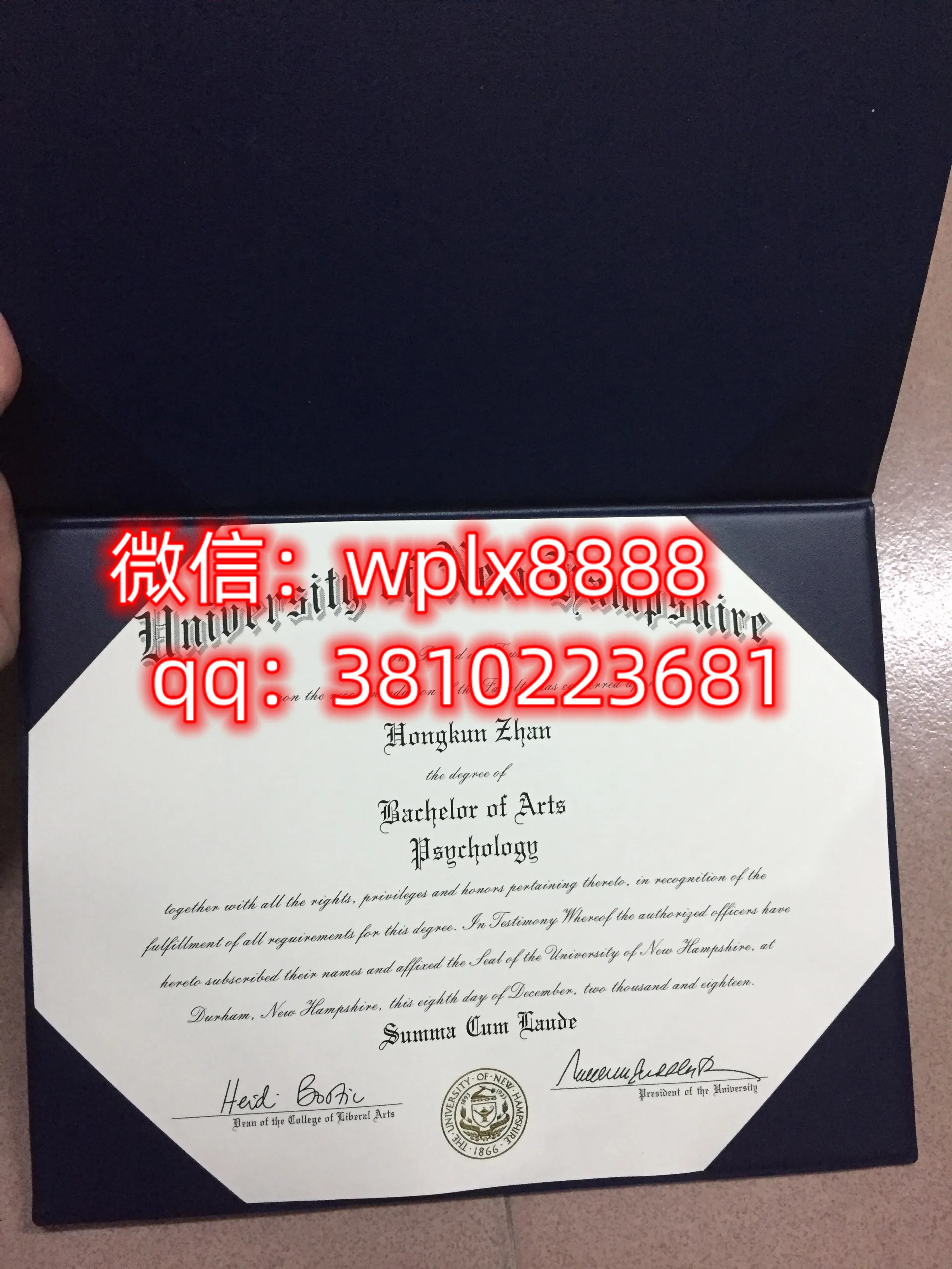 新罕布什尔大学