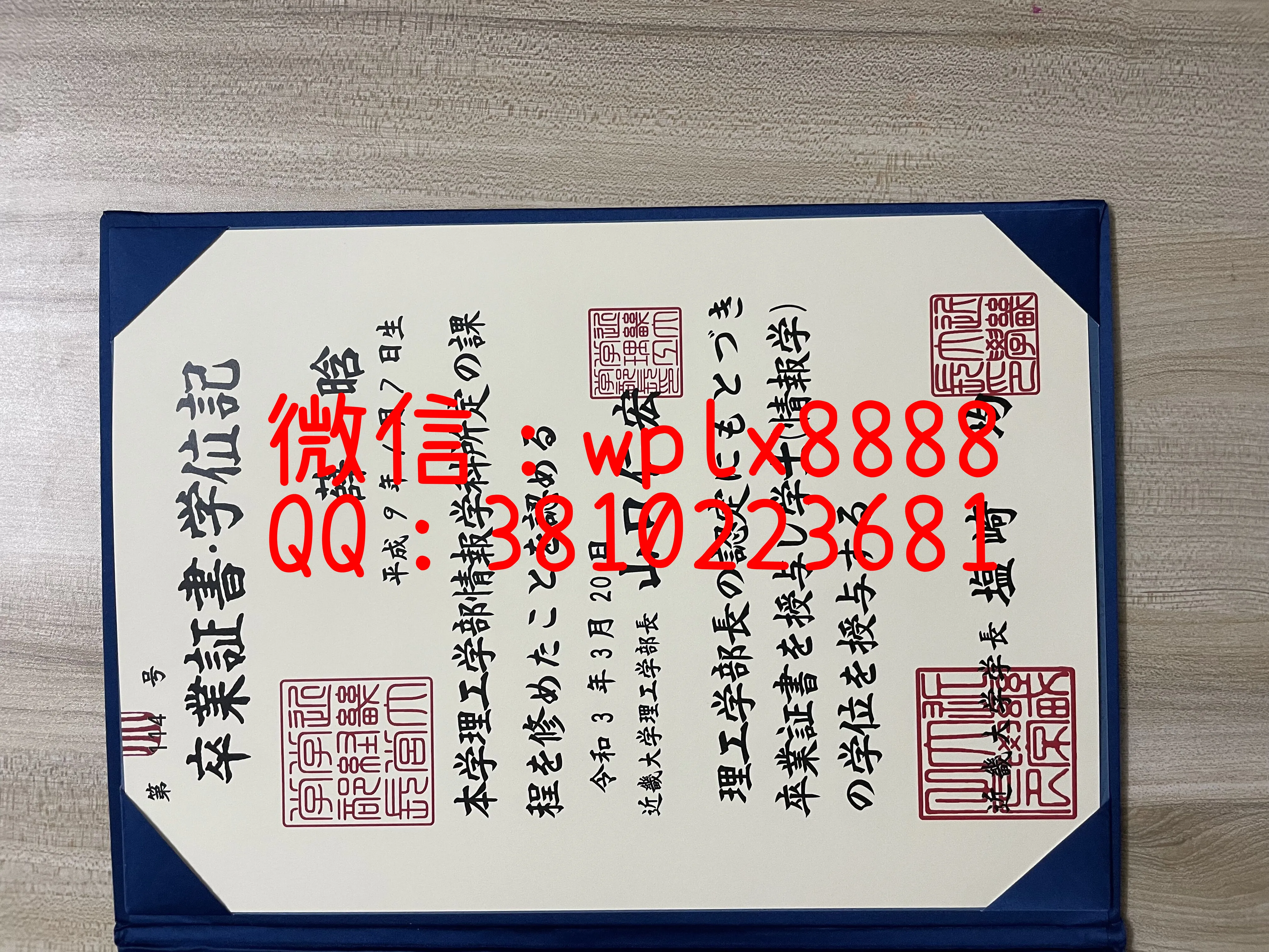 日本近畿大学-毕业证-成品