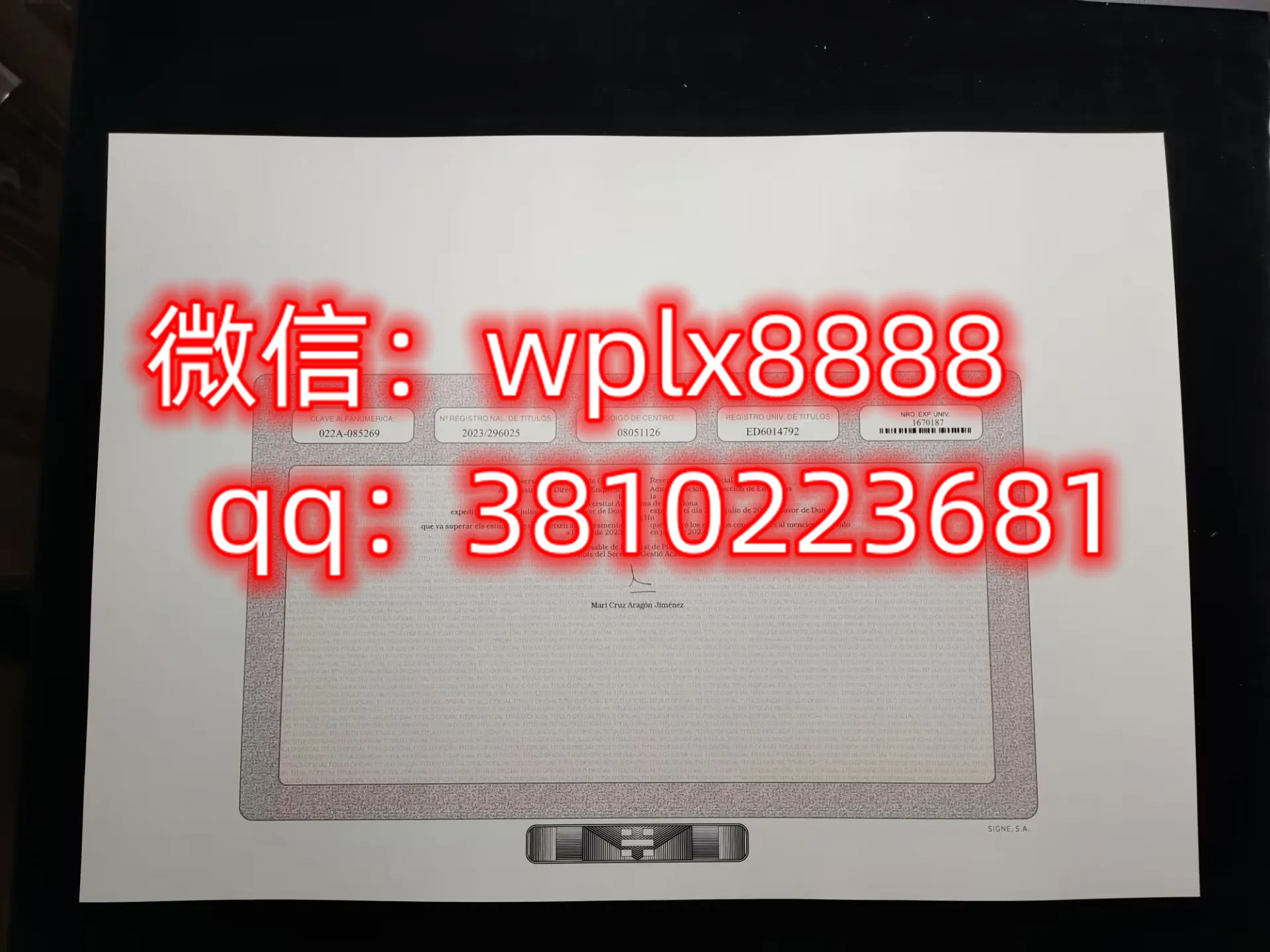 巴塞罗那自治大学