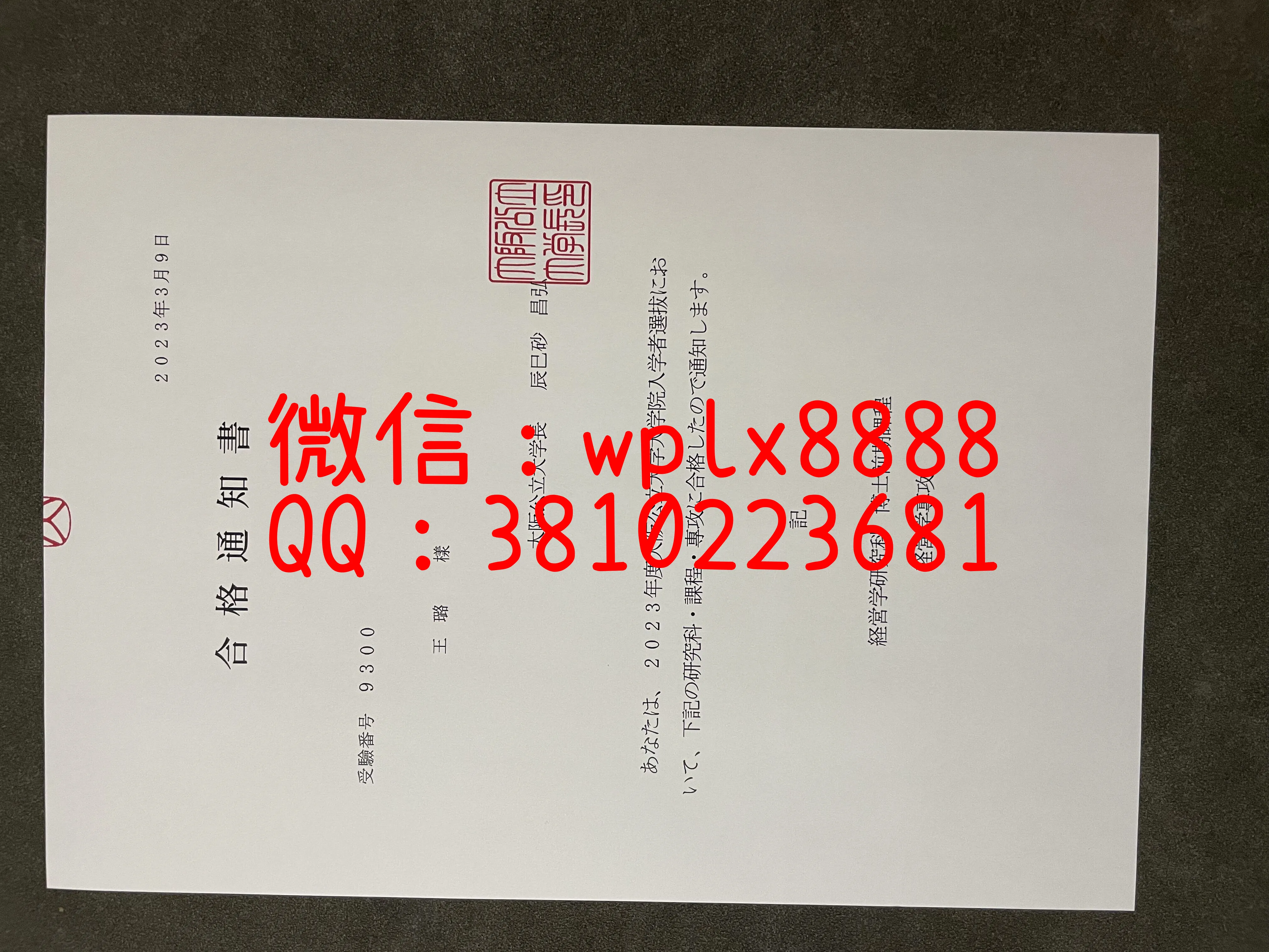 日本大学录取通知-成品