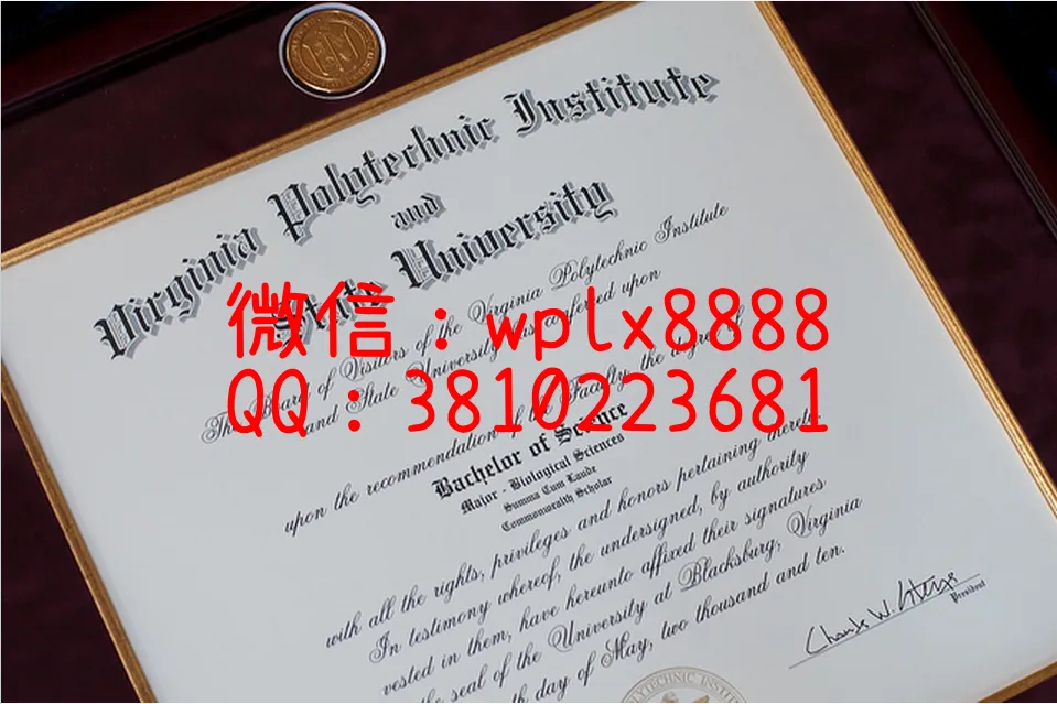 美国弗吉尼亚理工大学