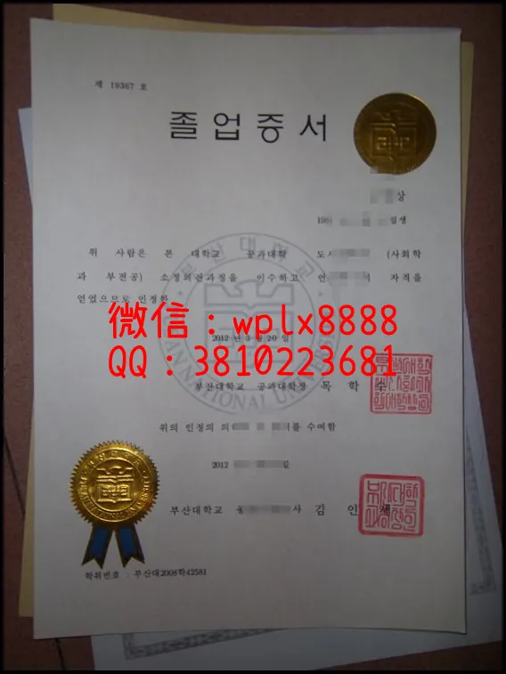 韩国釜山大学毕业证内页_副本