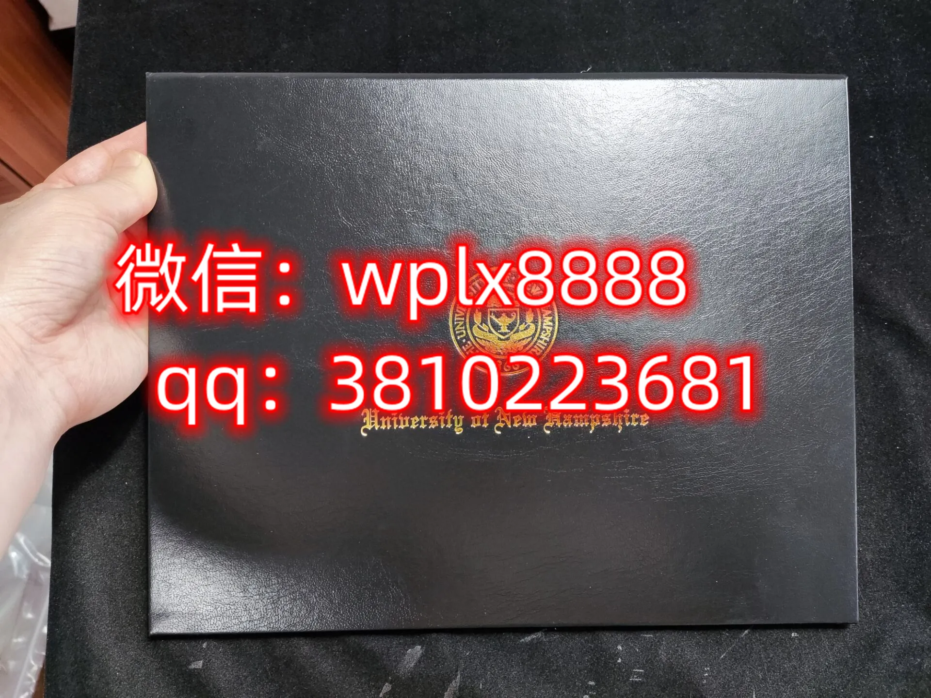 新罕布什尔大学