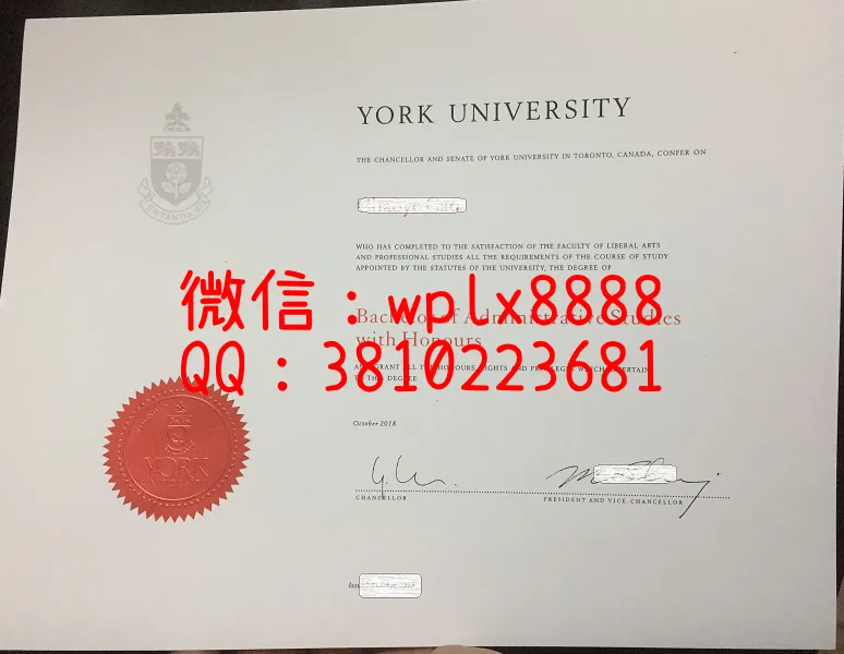 加拿大-约克大学