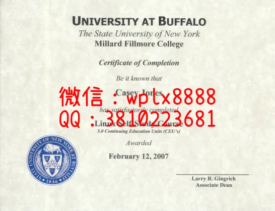 纽约州立大学水牛城分校(University-at-Buffalo