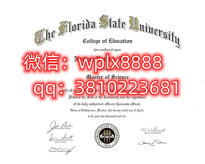 佛罗里达州立大学