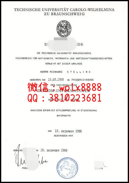 德国不伦瑞克工业大学_副本