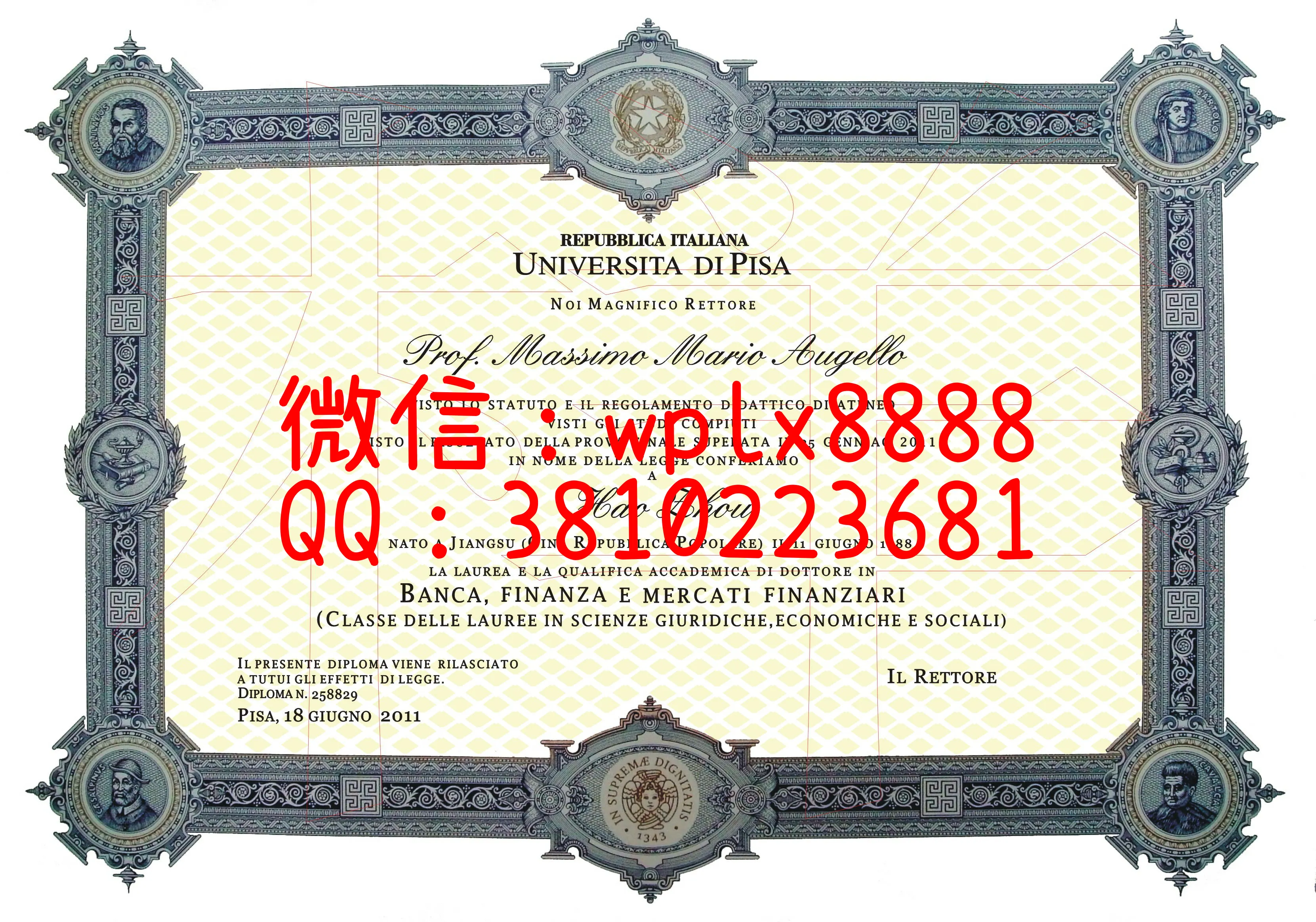 意大利比萨大学