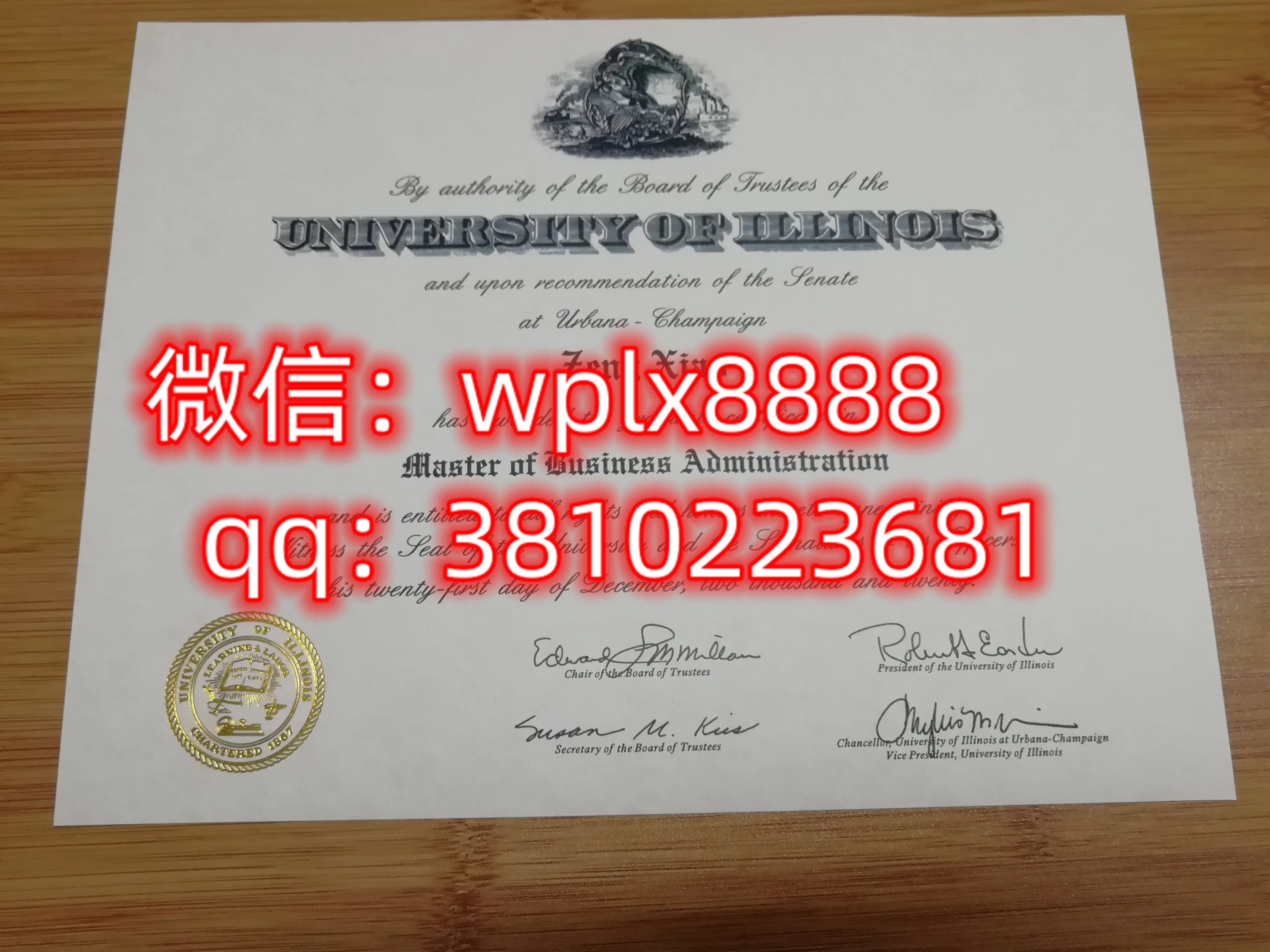 伊利诺伊大学
