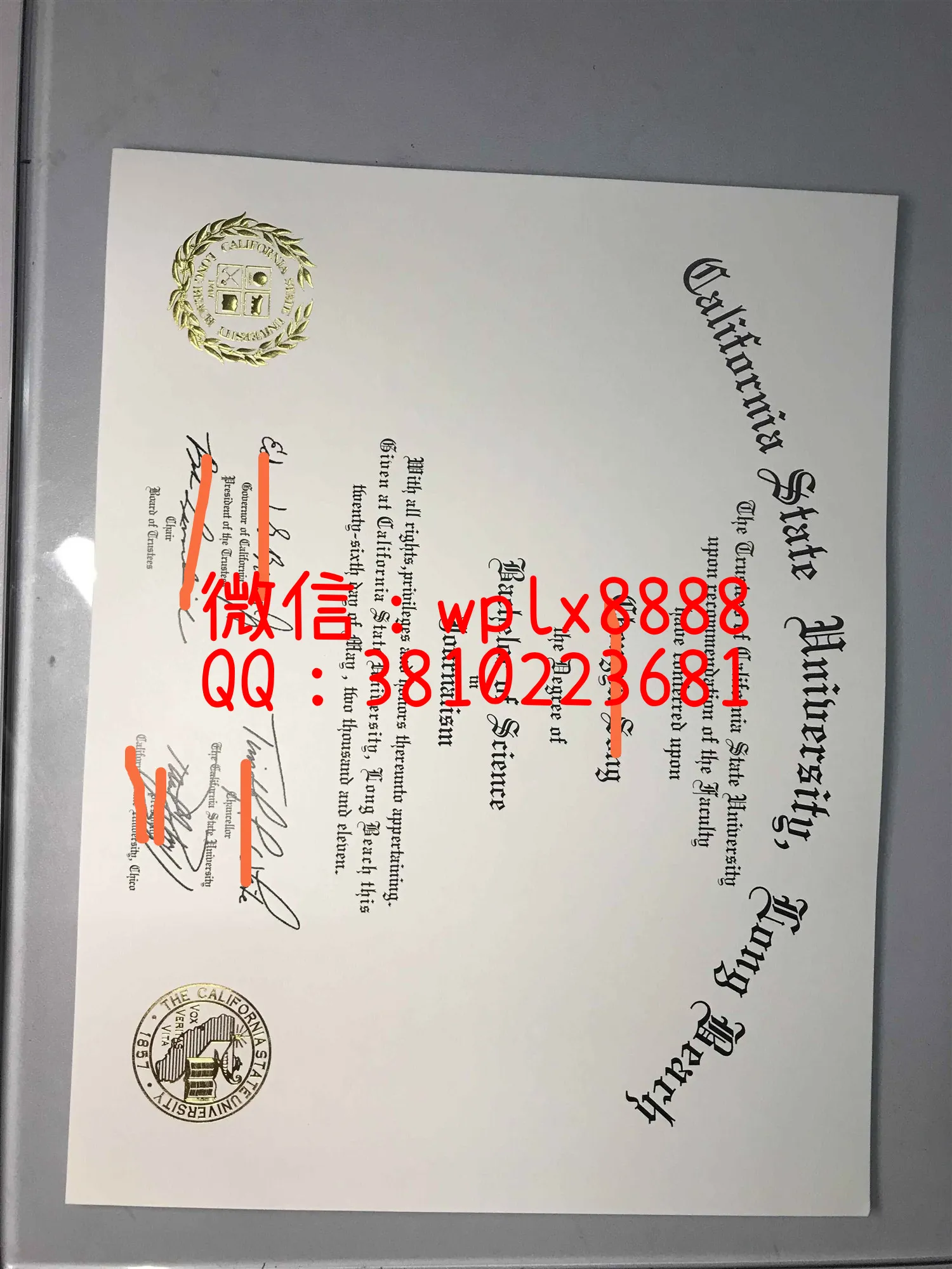 加州州立大学长滩分校毕业证实拍