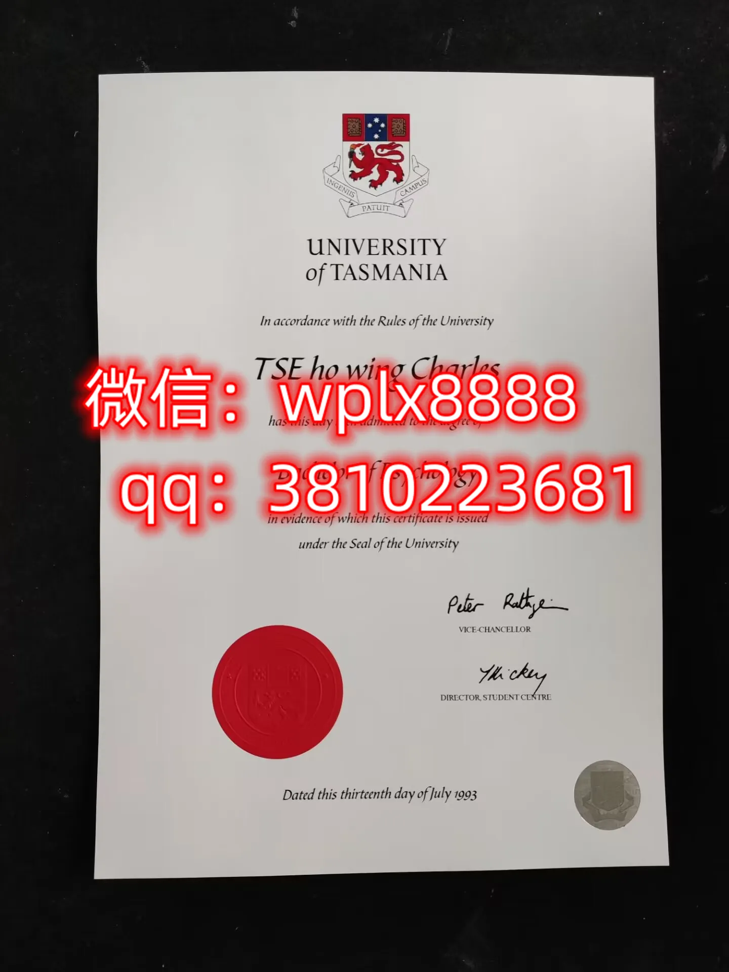 塔斯马尼亚大学
