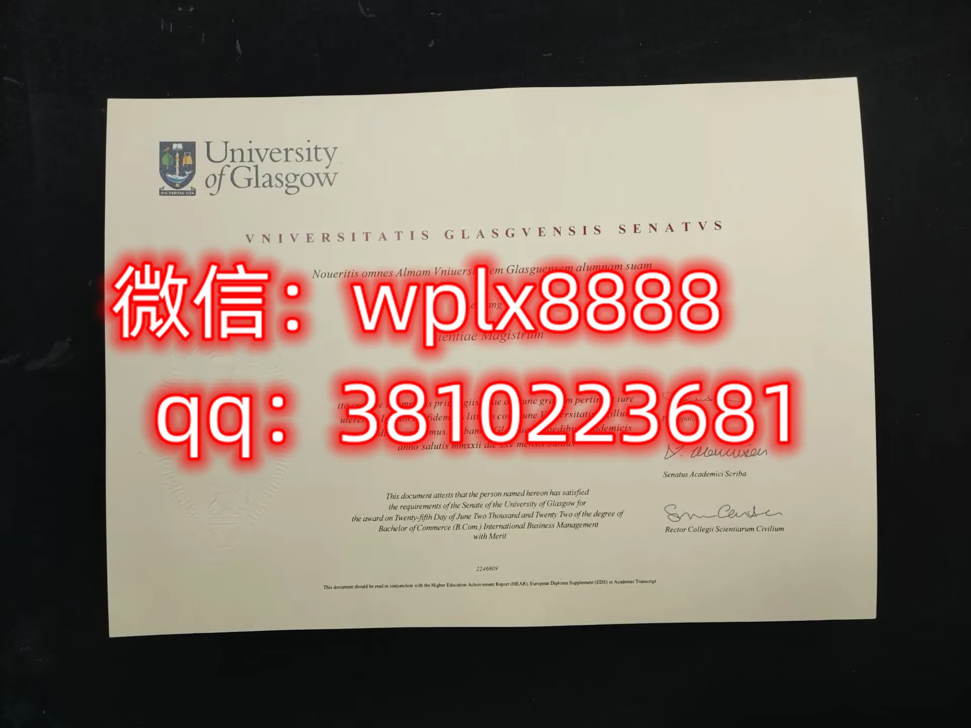 格拉斯哥大学