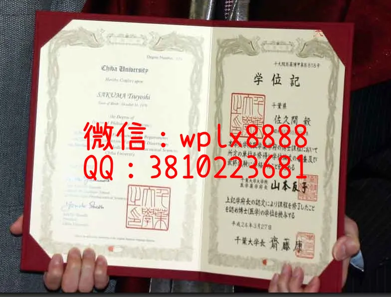 日本千叶大学大学院研究生毕业证