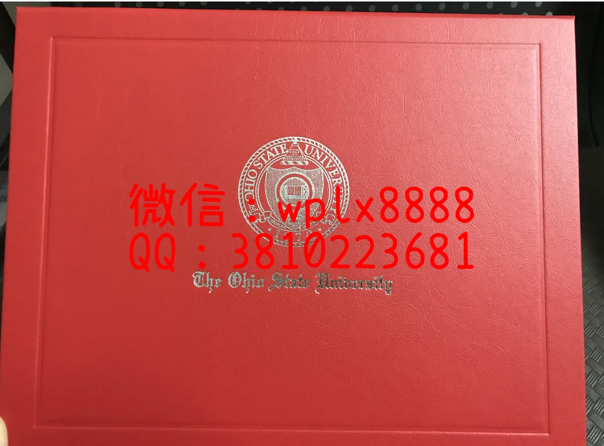 时光（毕业证壳子）红色