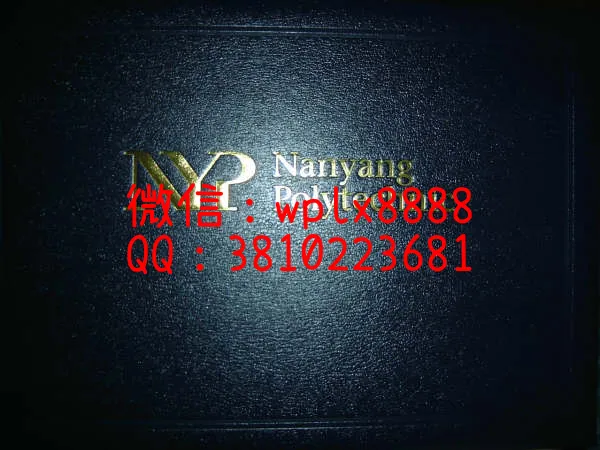 南洋理工学院毕业证外壳