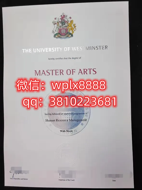 威斯敏斯特大学