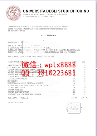 都灵大学成绩单