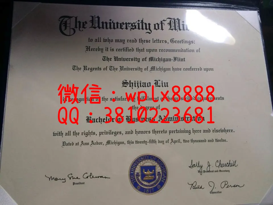 美国密歇根大学弗林特校区