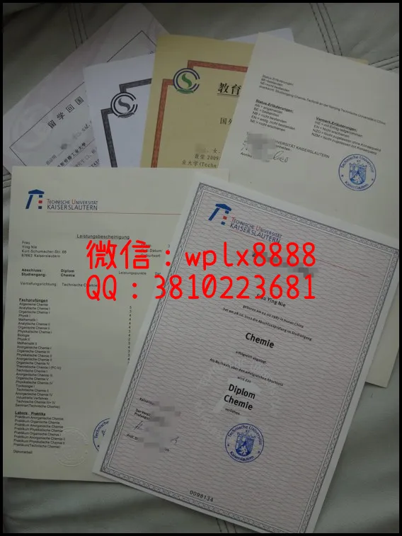 德凯泽斯劳滕工业大学全套1_副本