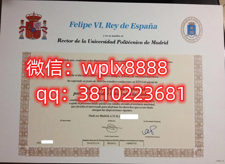 马德里理工大学