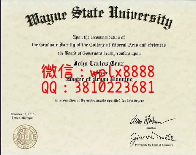 韦恩州立大学毕业证