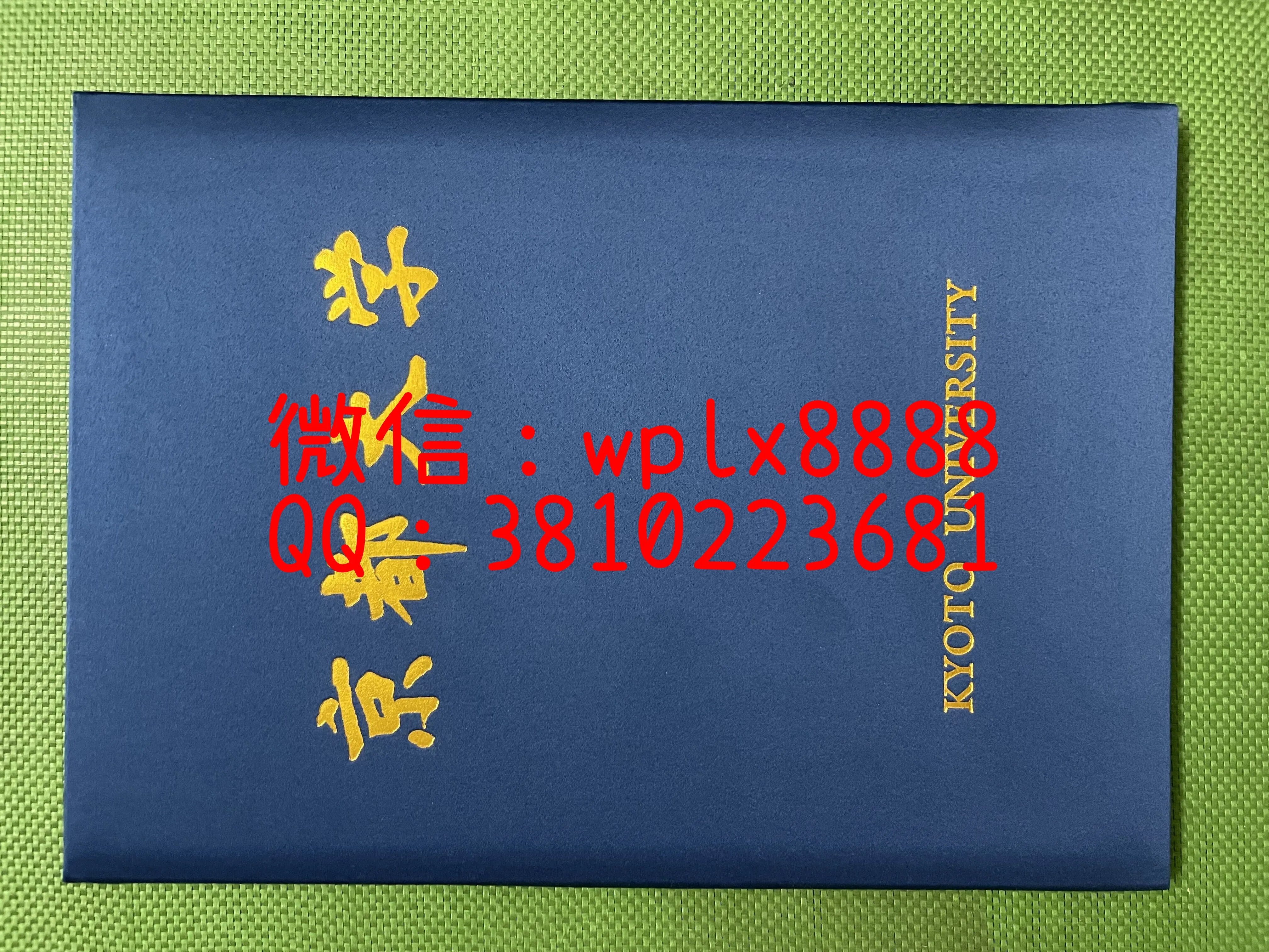 日本京都大学毕业证-壳子