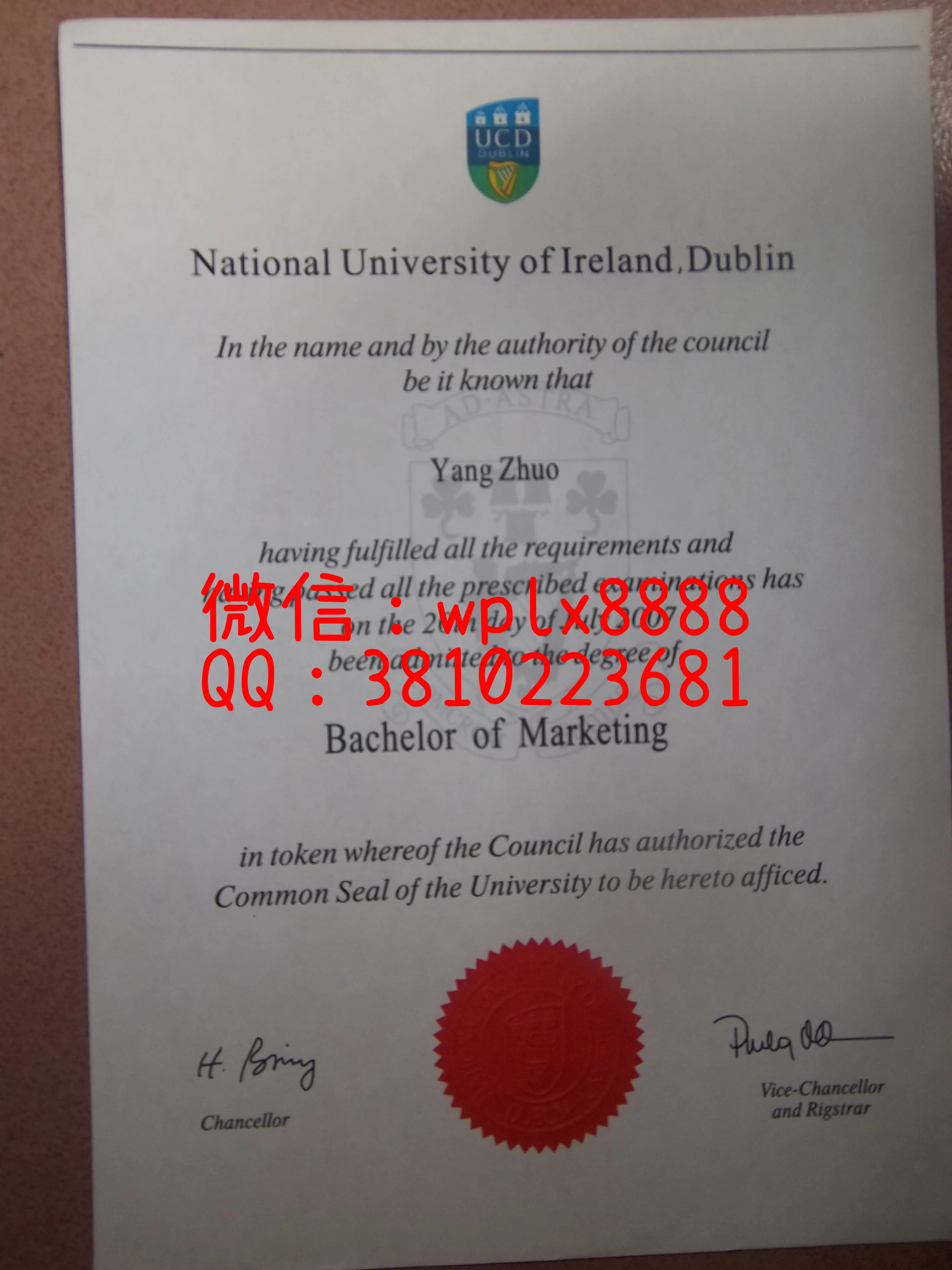 爱尔兰国立都柏林大学