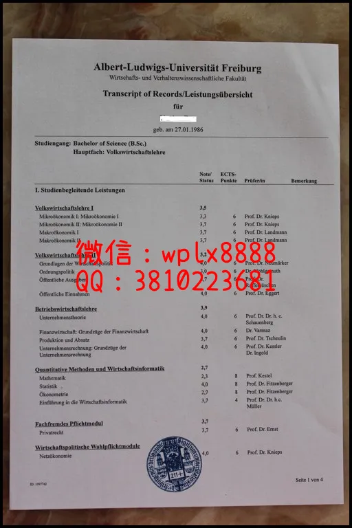 德国弗赖堡大学成绩单1_副本