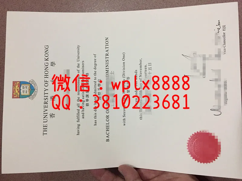 香港大学工商管理