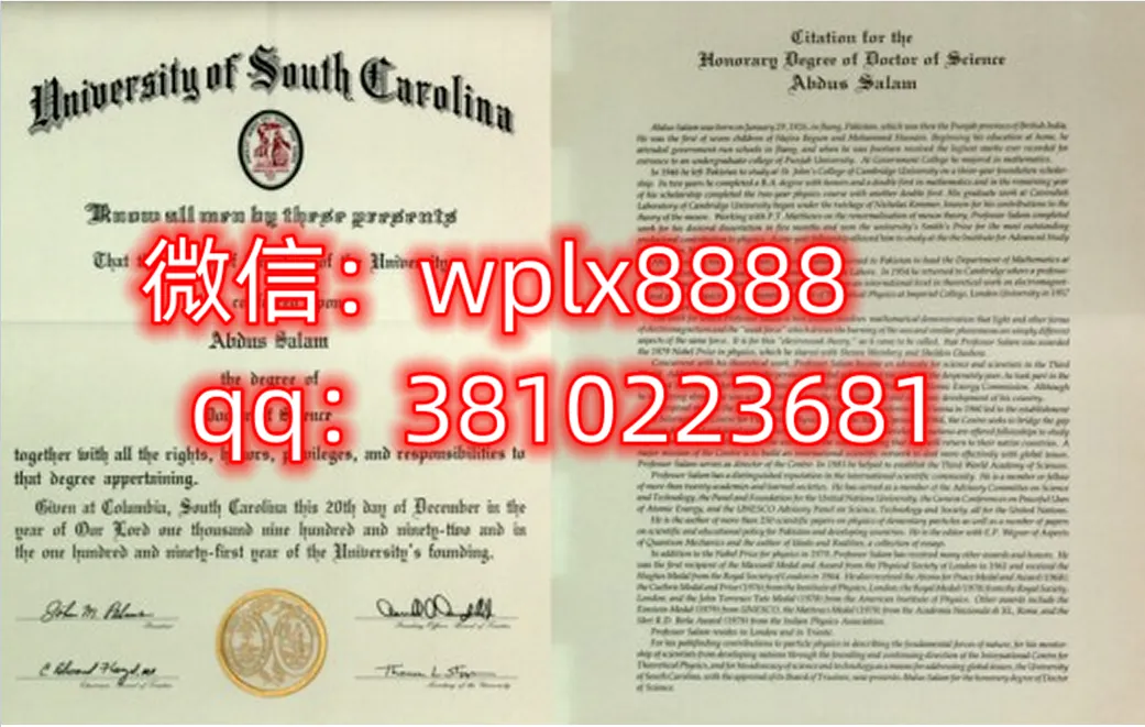 南卡罗来纳大学